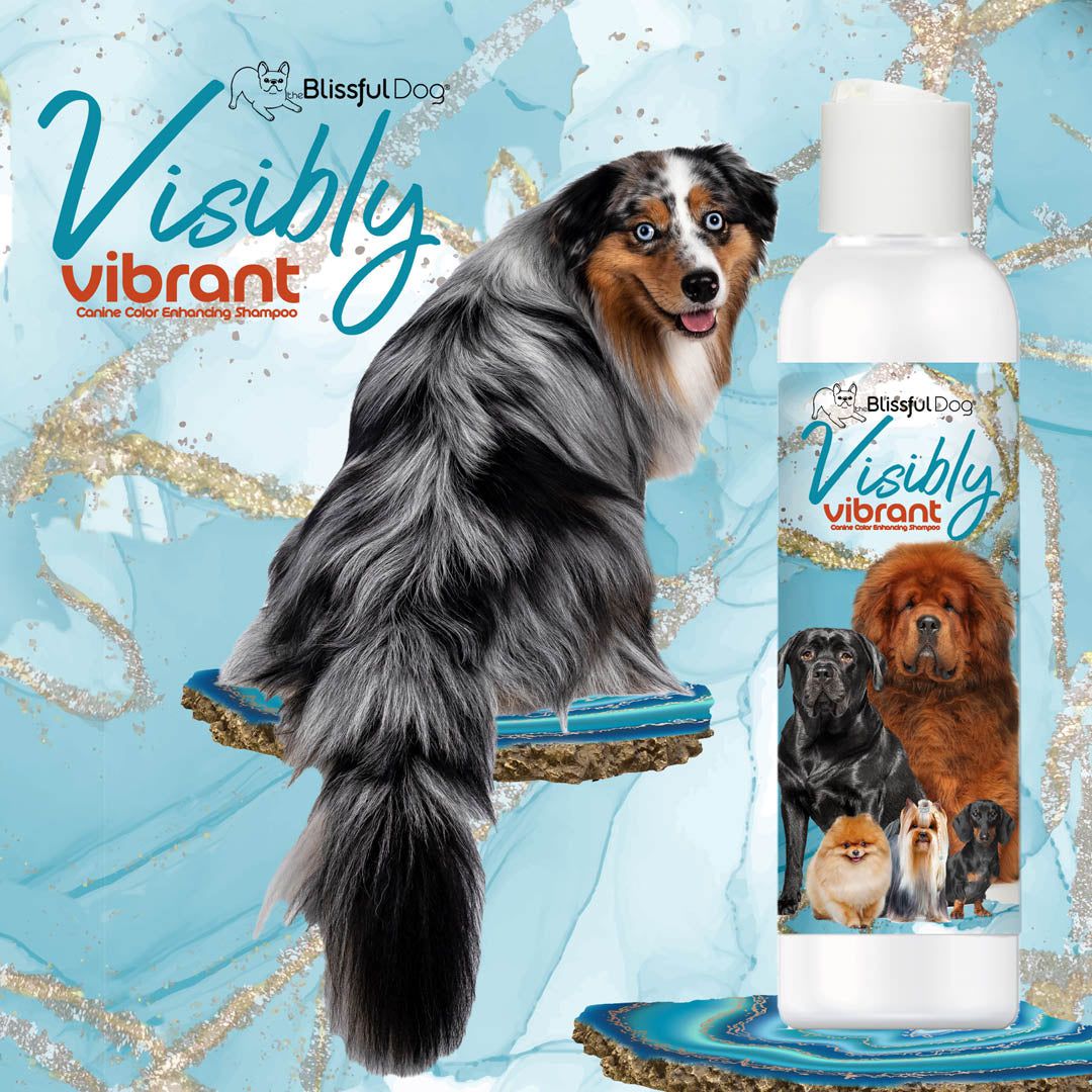 Visibly Vibrant Pet Shampoo 16 OZ BOTTLE SHAMPOO The Blissful Dog