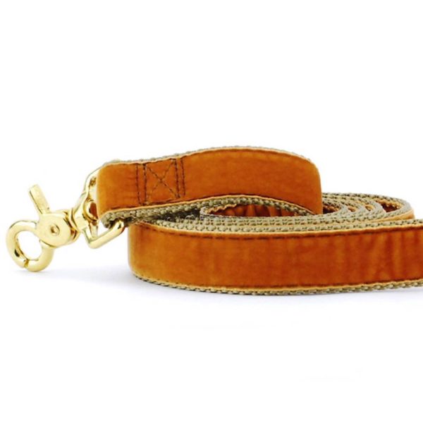 Antique Gold Velvet Dog Leash 2 Hounds Design
