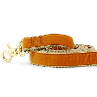 Antique Gold Velvet Dog Leash 2 Hounds Design