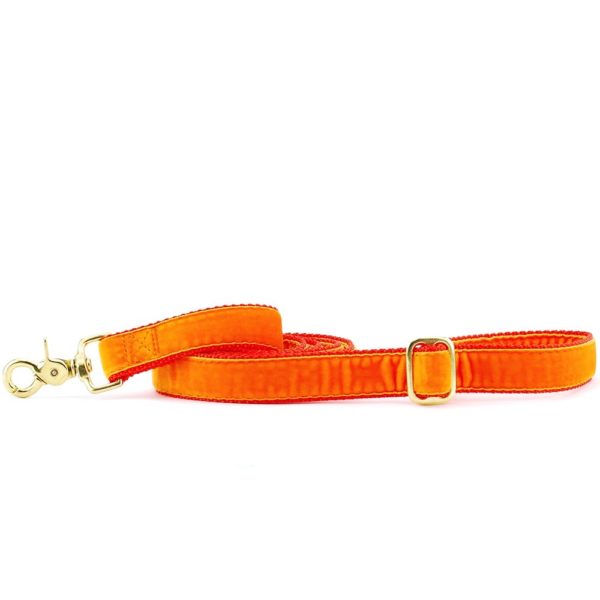 Orange Velvet Dog Leash (1″ Only) 2 Hounds Design