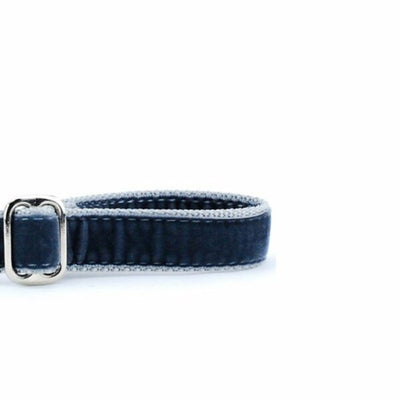 Smoke Gray Velvet Dog Leash 2 Hounds Design