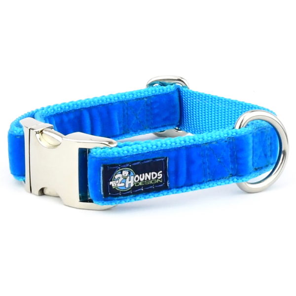 Venetian Blue Velvet Essential Dog Collar 1 inch wide 2 Hounds Design