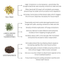 Hoof Oil for Horses The Hoof & Paw Co.