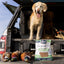 Air-Dried Beef Formula Dog Food Elevate Pet Provisions