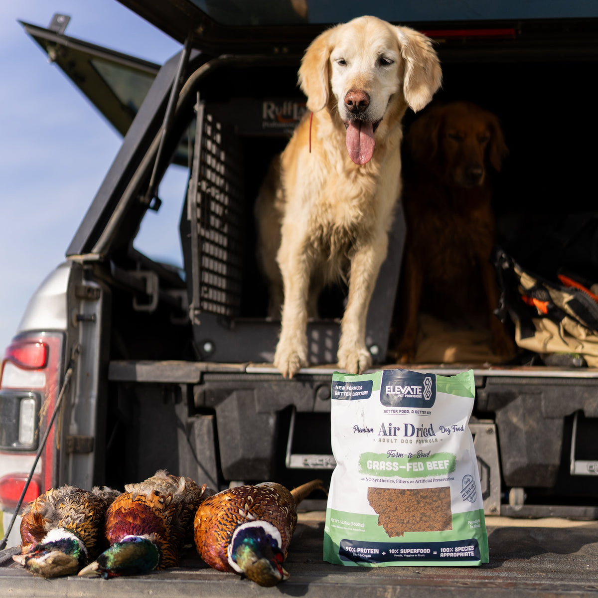 Air-Dried Beef Formula Dog Food Elevate Pet Provisions