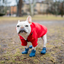 WagWellies® by wagwear Dog Footwear Wagwellies
