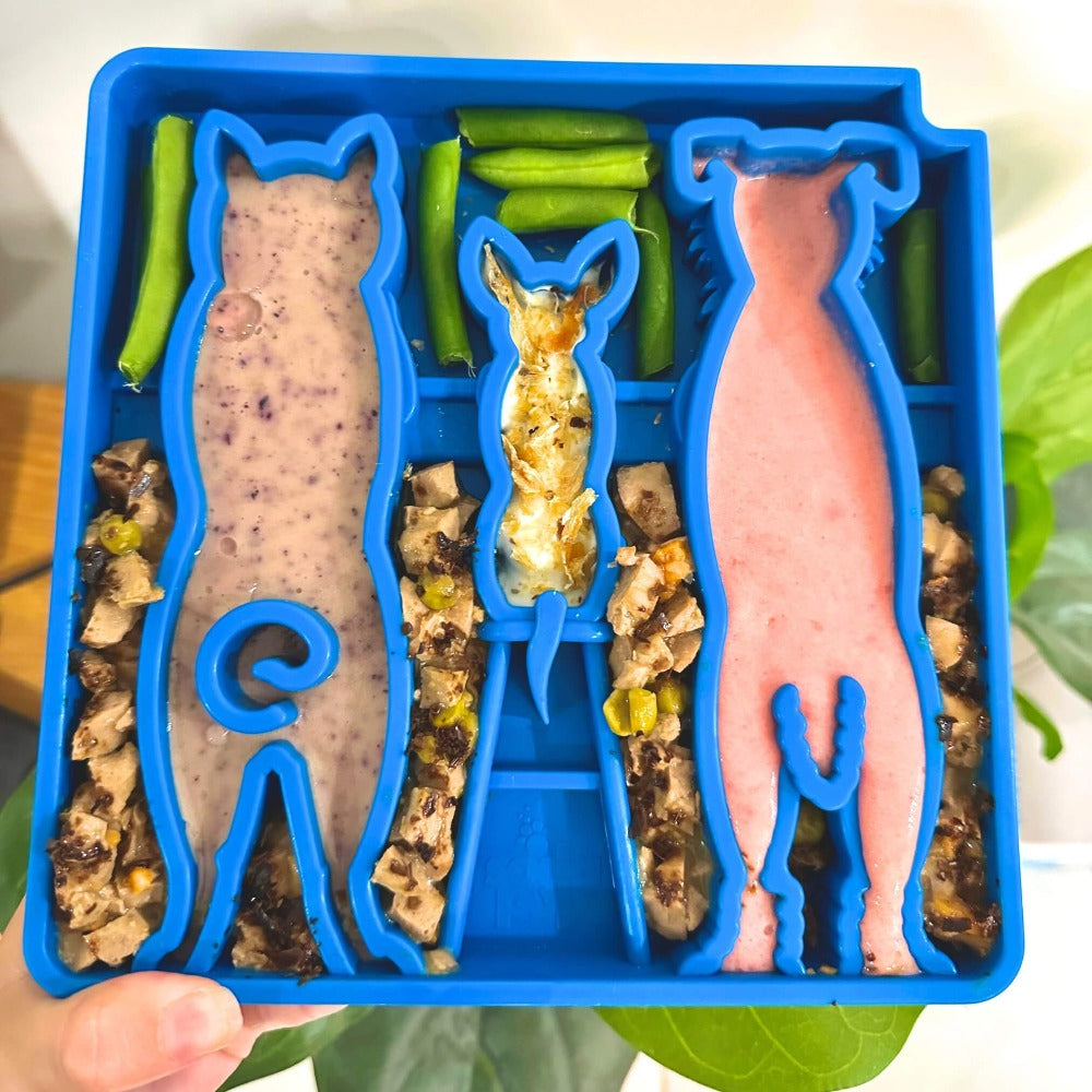 Waiting Dogs eTray - Shallow Slow Feeder Bowl for Enrichment | USA Made ETRAY SodaPup/True Dogs, LLC