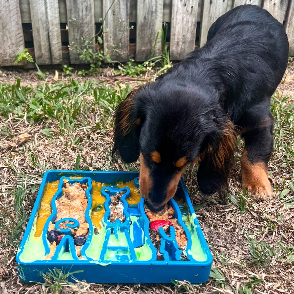 Waiting Dogs eTray - Shallow Slow Feeder Bowl for Enrichment | USA Made ETRAY SodaPup/True Dogs, LLC