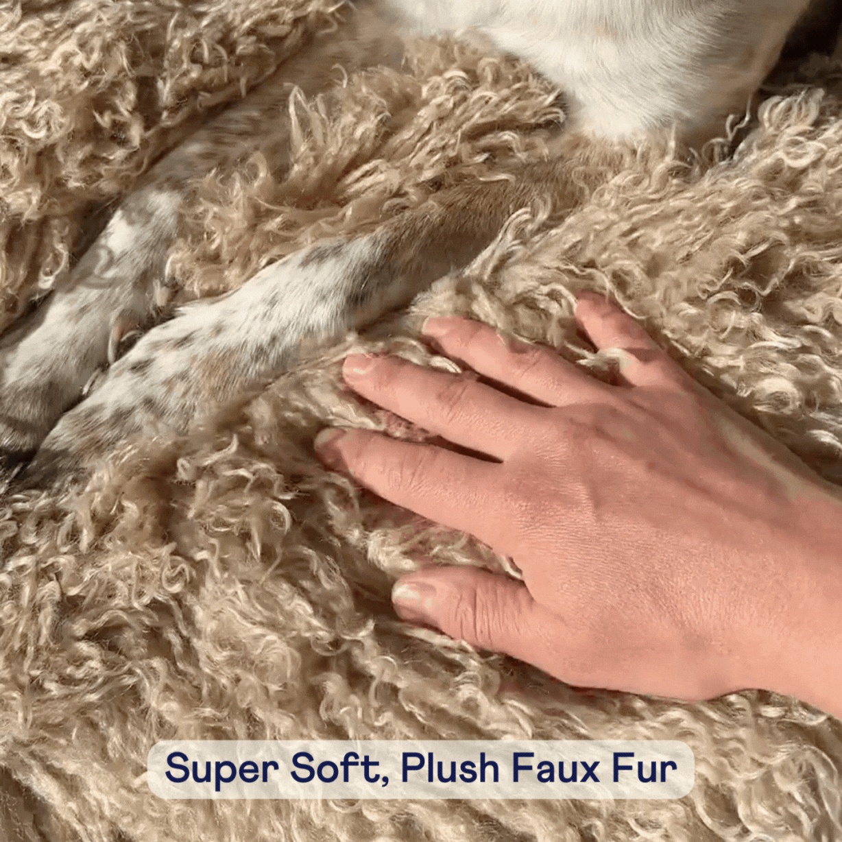 PupRug® Luxe Faux Fur Orthopedic Dog Bed - Plush Sheep Tan Dog Beds Paw