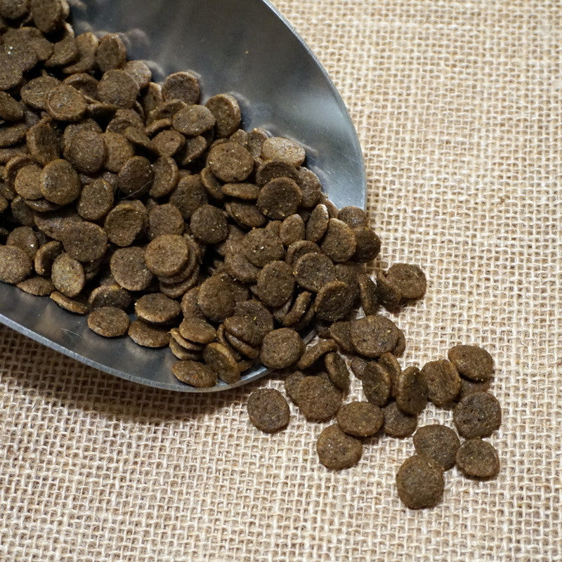 Whitefish & Duck Recipe (Grain Free) Dog Food Chief’s Treats and Pet Supplies