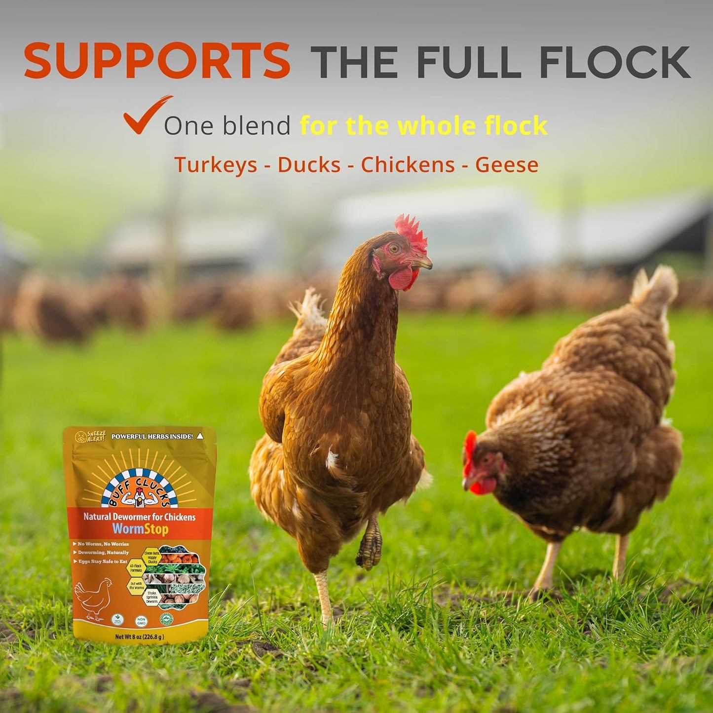 WormStop – Natural Dewormer for Chickens Buff Clucks
