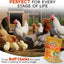 WormStop – Natural Dewormer for Chickens Buff Clucks