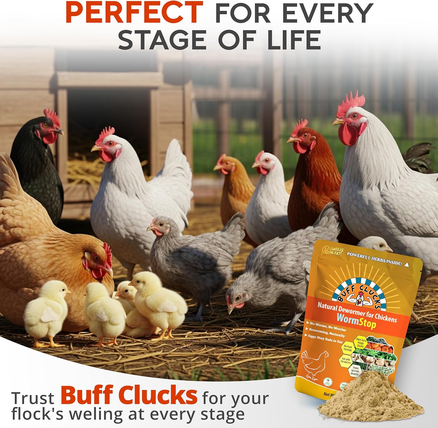 WormStop – Natural Dewormer for Chickens Buff Clucks