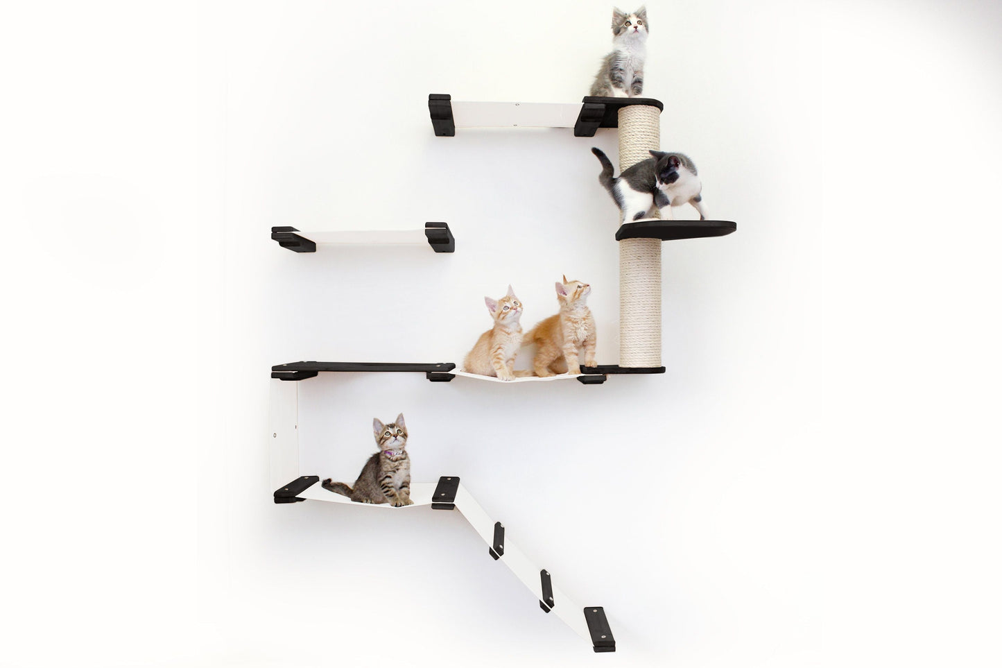 The Deluxe Cat Fort - Modern Cat Condo English Chestnut Bamboo Natural Canvas None Cat Condo Catastrophic Creations