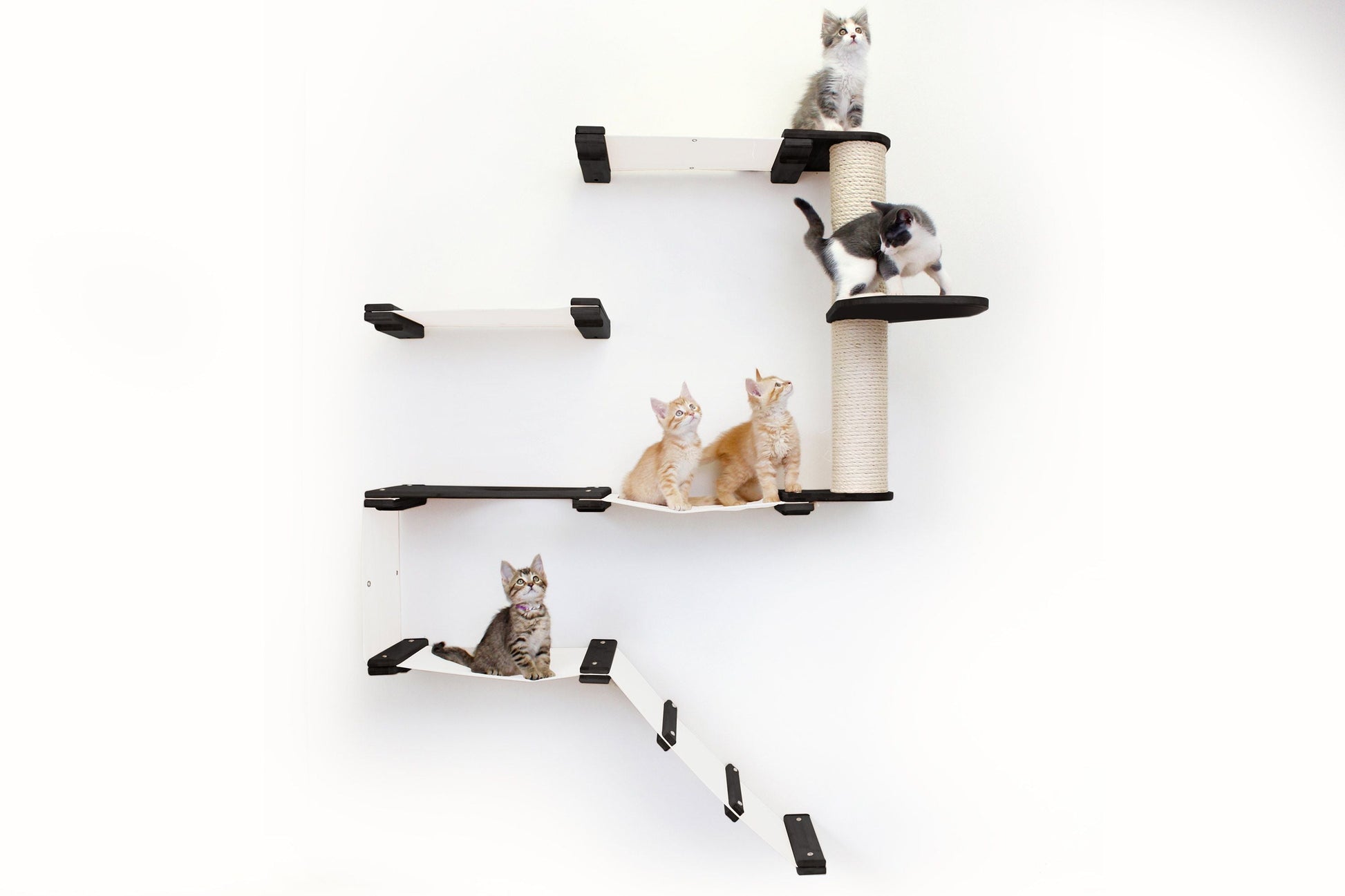 The Deluxe Cat Fort - Modern Cat Condo English Chestnut Bamboo Natural Canvas None Cat Condo Catastrophic Creations