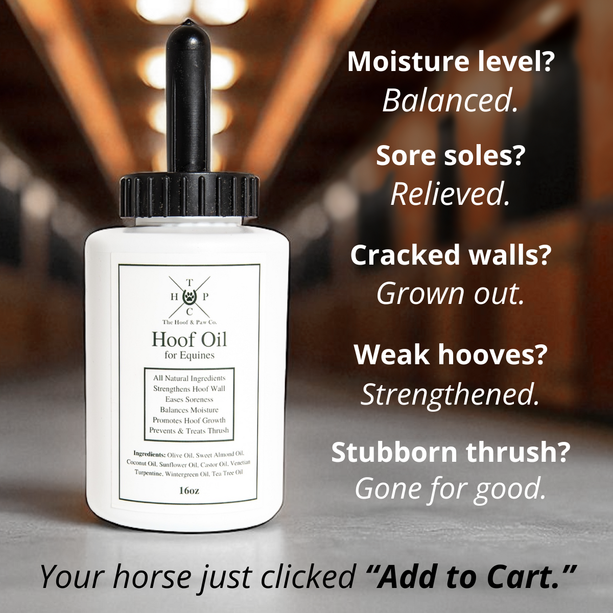 Hoof Oil for Horses The Hoof & Paw Co.