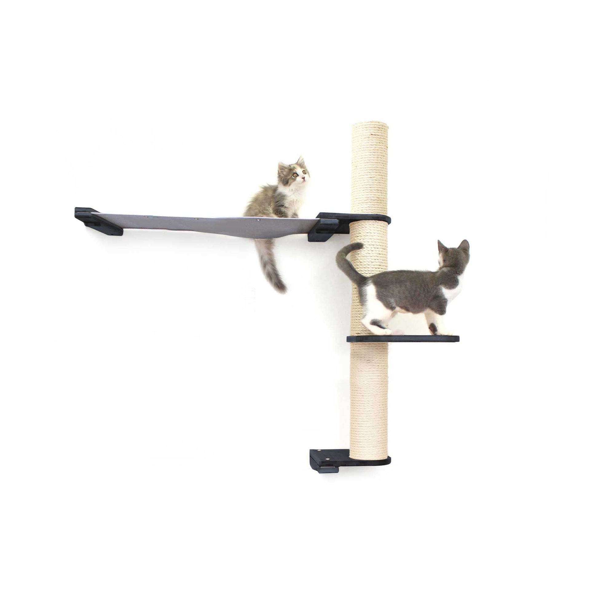 The Crow's Nest - A Wall Cat Scratcher with Hammock Onyx Bamboo Charcoal Gray Canvas 2-Tier 32" Cat Condo Catastrophic Creations