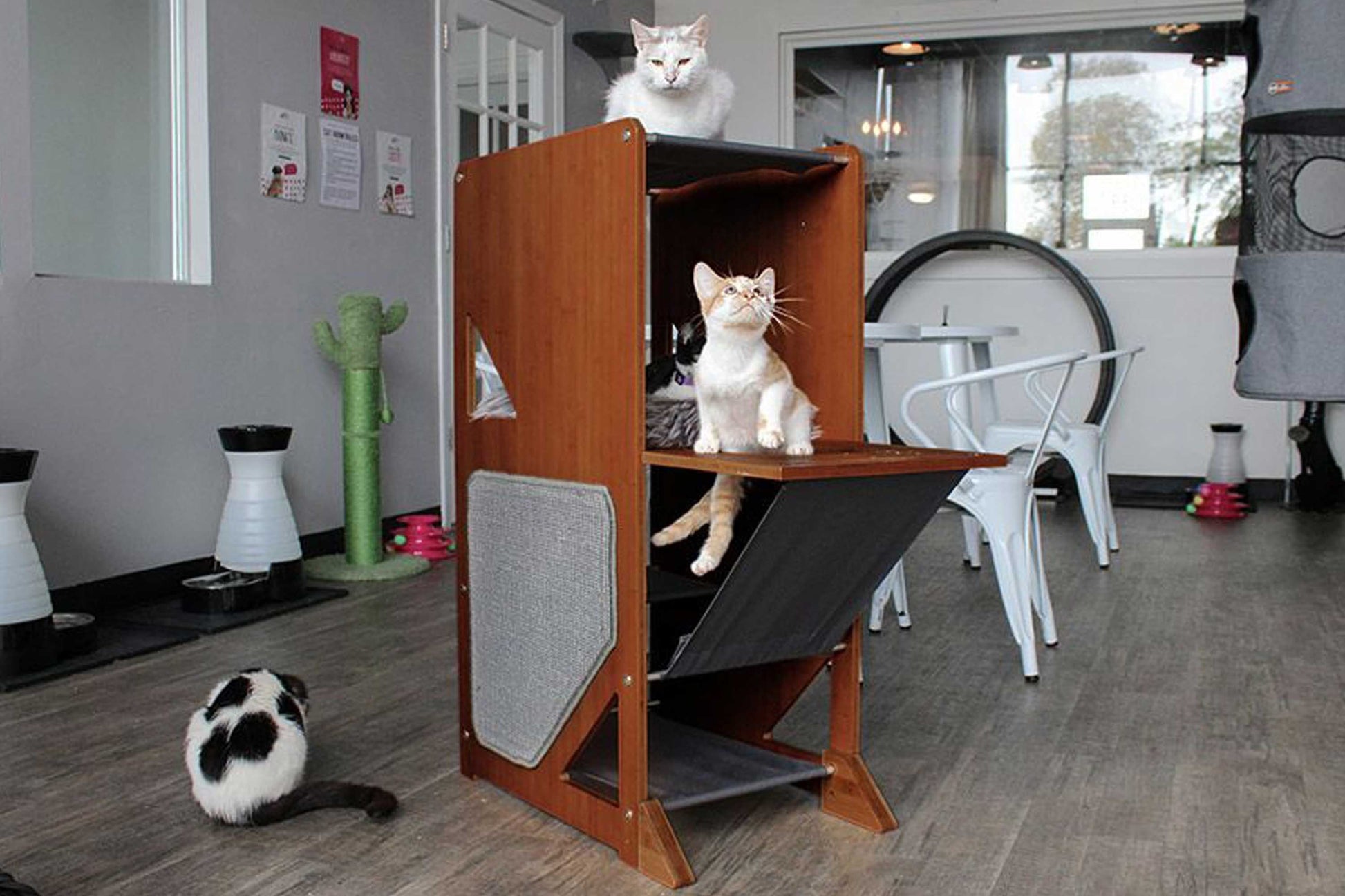 The Overlook - Sturdy - Bamboo Cat Tree English Chestnut Bamboo Charcoal Gray Canvas No Cat Condo Catastrophic Creations