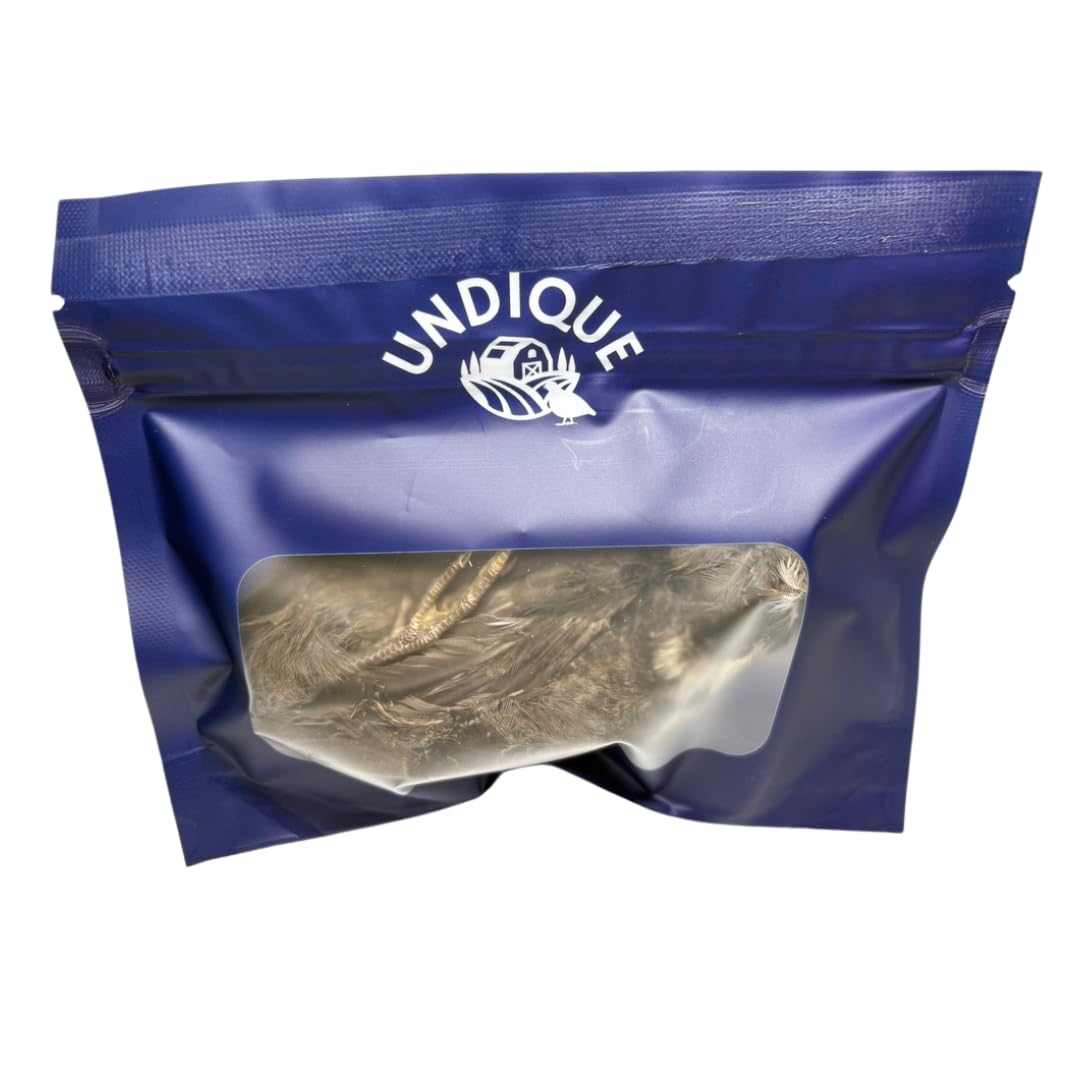 Quail Whole Prey dehydrated for Bird Dog Training or Falconry, 1 Pack Dog Treats Quailz.com by Undique LLC