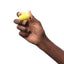 Earth Rated Rubber Fetch Dog Toy, Large Yellow Pet Palette Distribution
