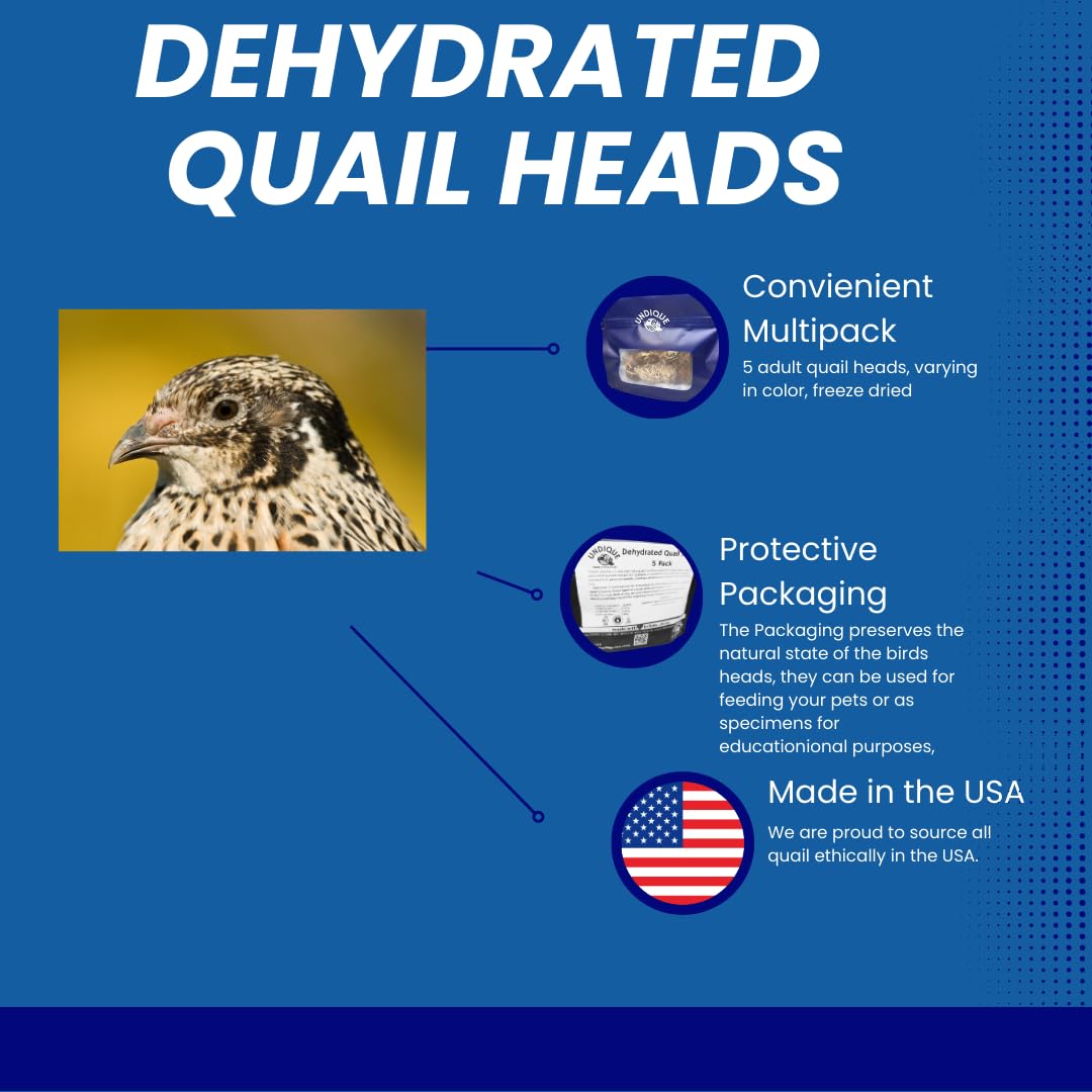 Fine Feline Feasts Quail Heads - Gourmet Cat Treats, High Protein, Nutrient-Dense, Promotes Natural Instincts, Healthy Skin & Coat, Minimal Ingredients Pack of 5 Quailz.com by Undique LLC