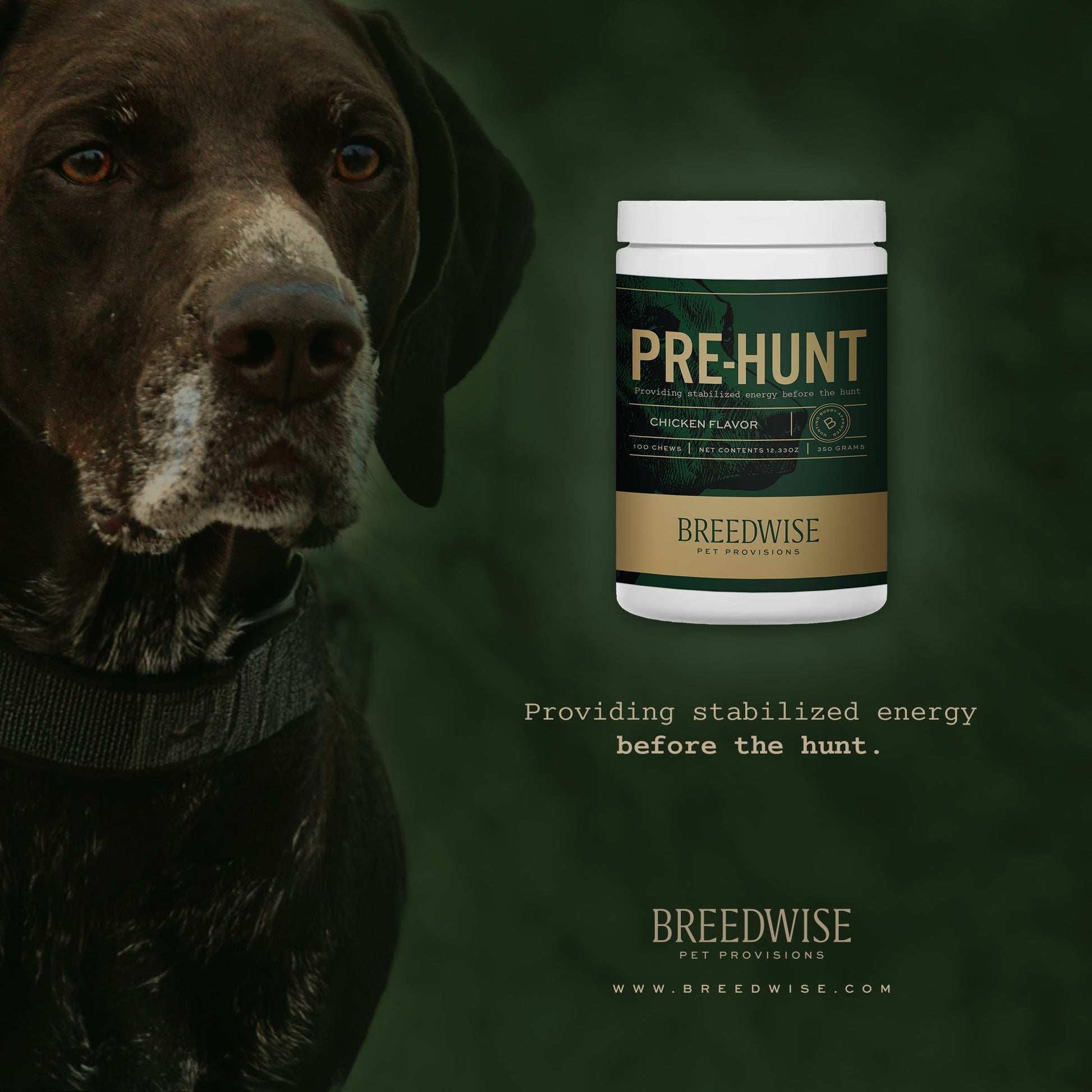 Breedwise Pre & Post-HUNT Soft Dog Chews - Bundle Dog Treat Breedwise Pet Provisions