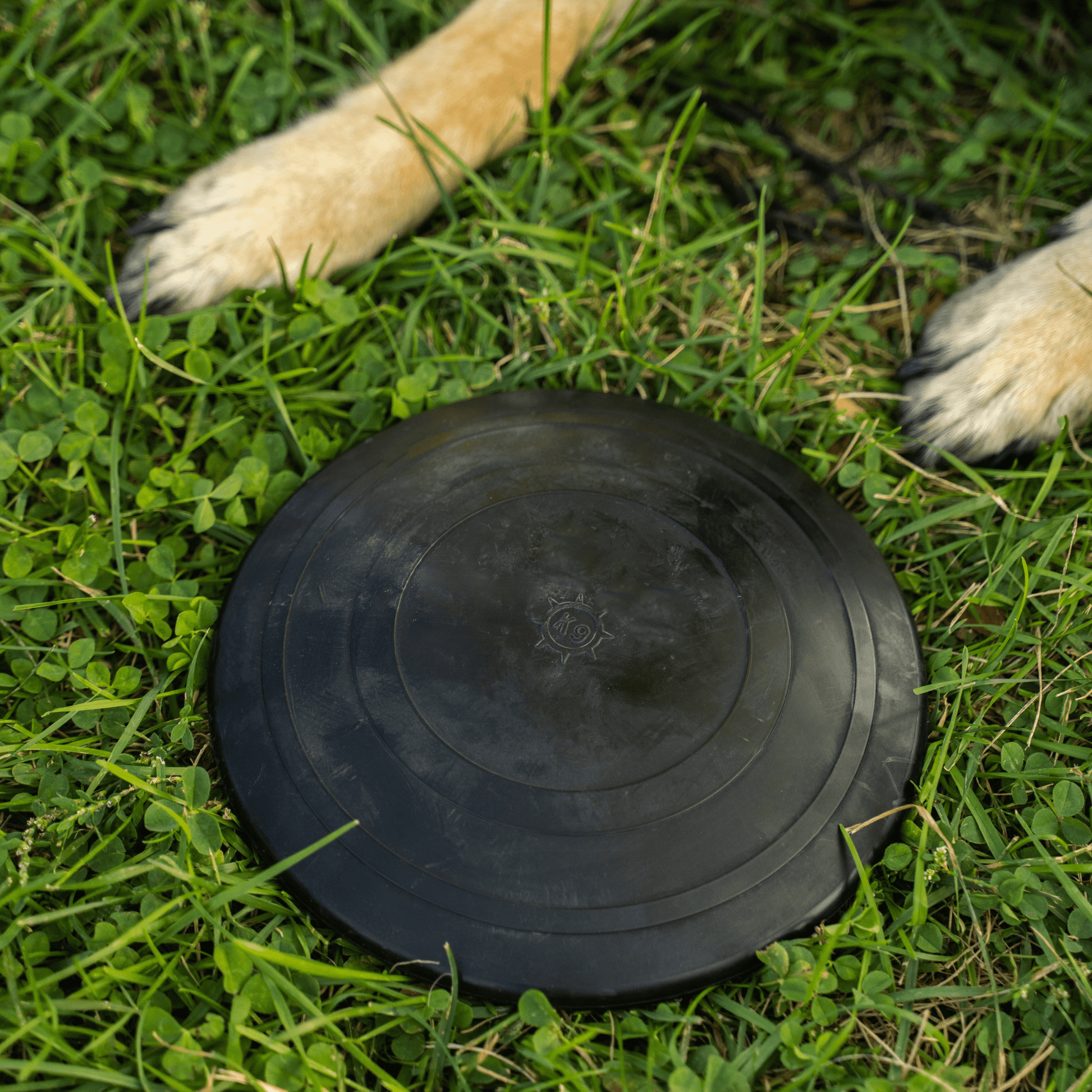Aero Disc Monster K9 Dog Toys