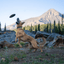 Aero Disc Monster K9 Dog Toys