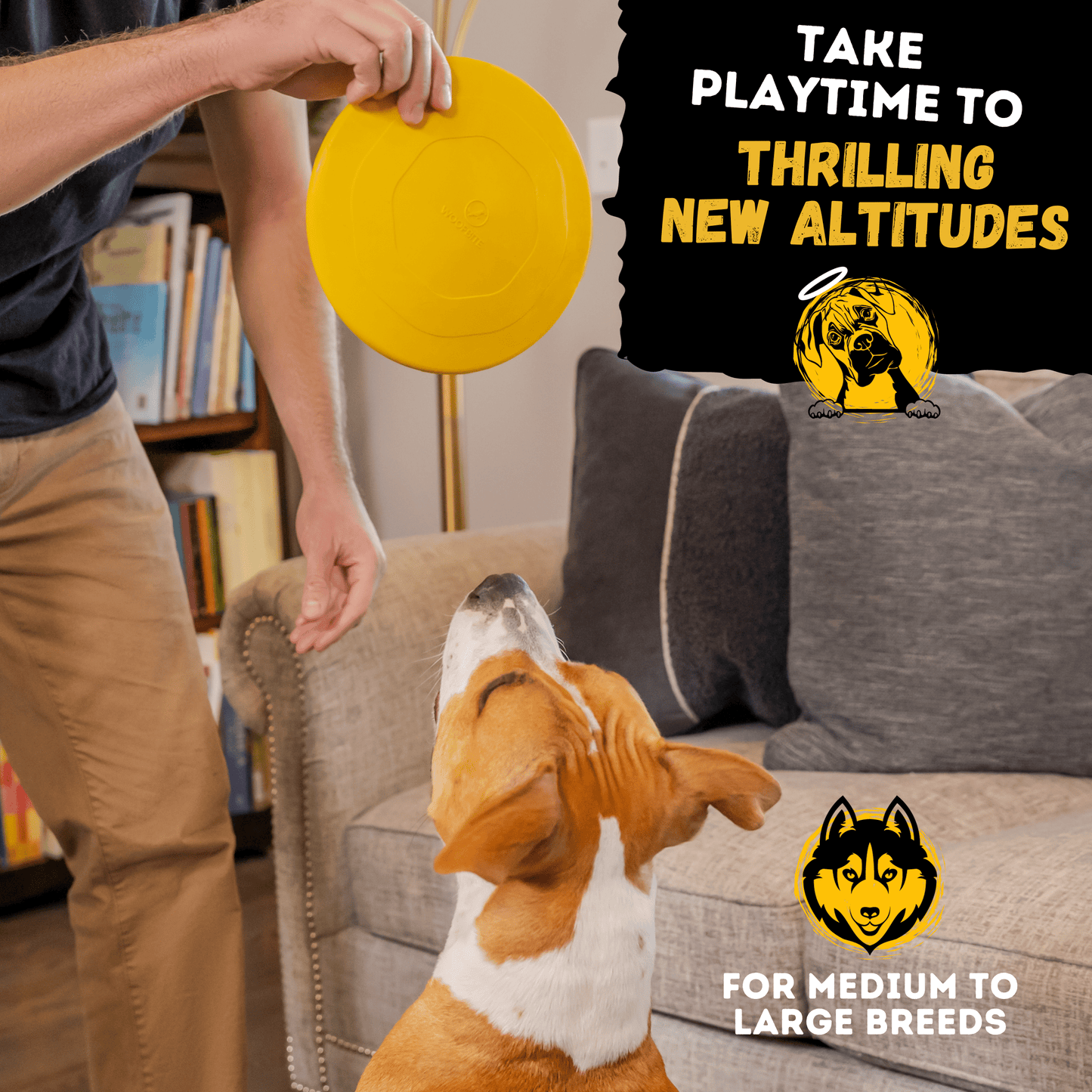Launch Disc™ Monster K9 Dog Toys