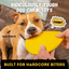 Launch Disc™ Monster K9 Dog Toys