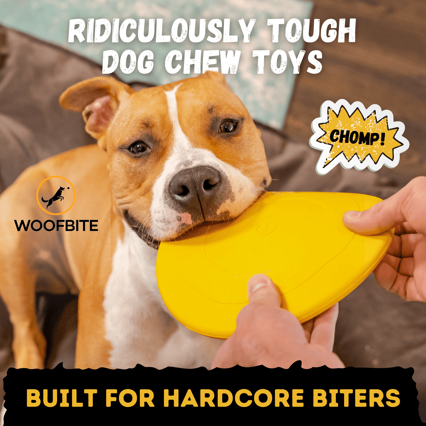 Launch Disc™ Monster K9 Dog Toys