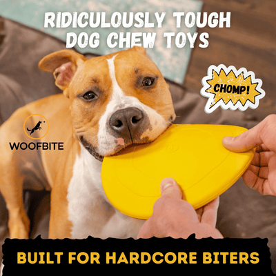 Launch Disc™ Monster K9 Dog Toys