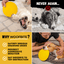Launch Disc™ Monster K9 Dog Toys