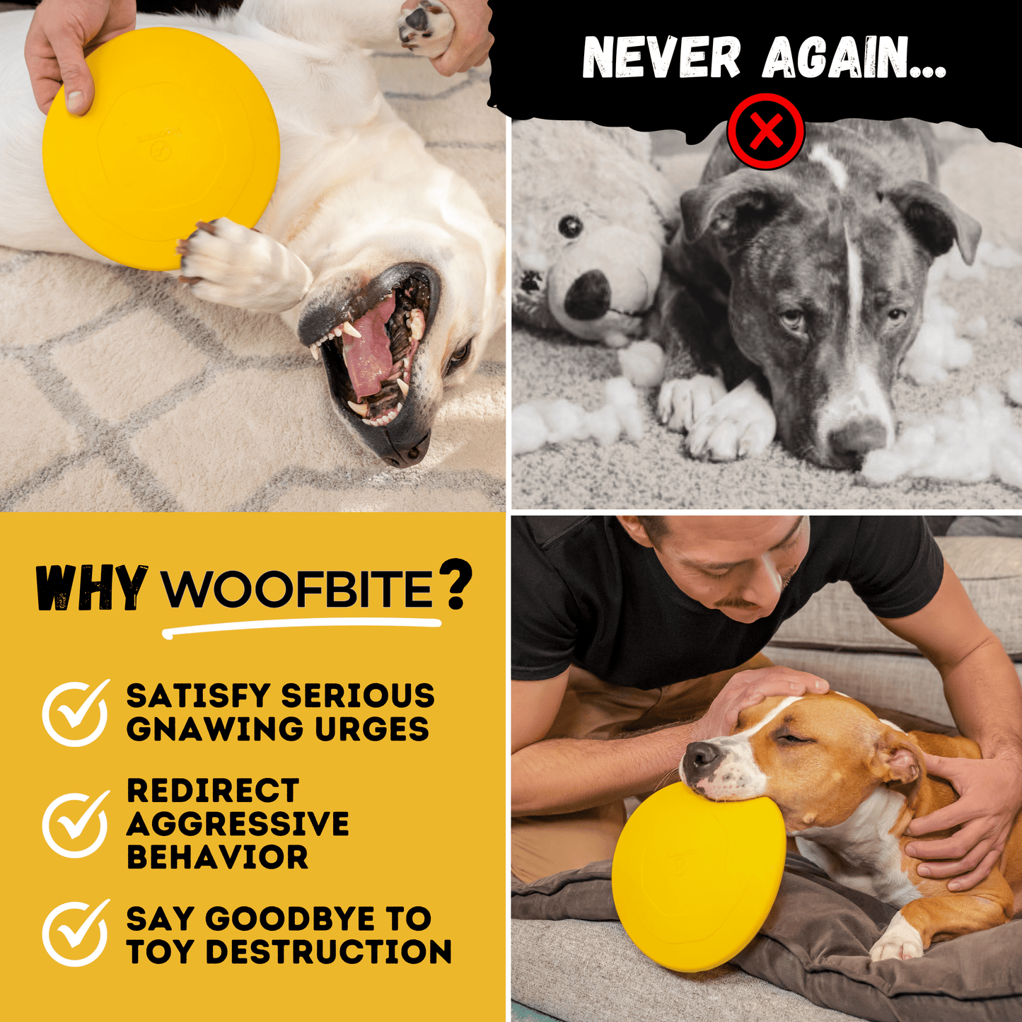 Launch Disc™ Monster K9 Dog Toys