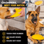 Launch Disc™ Monster K9 Dog Toys