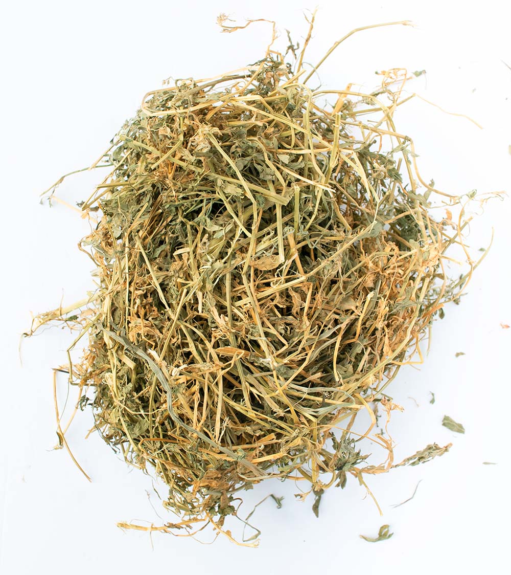 BunLuv All Natural Alfalfa For Rabbits, Guinea Pigs, Chinchillas, & Hamsters (10 Pounds) Dahlia Pets