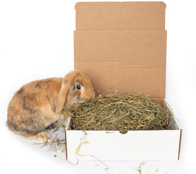 BunLuv All Natural Alfalfa For Rabbits, Guinea Pigs, Chinchillas, & Hamsters (10 Pounds) Dahlia Pets