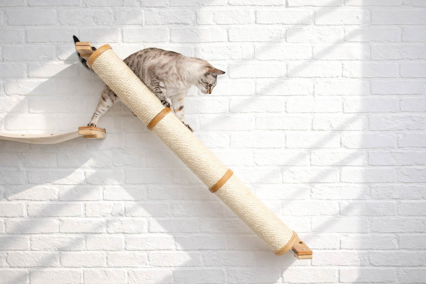 Slanted Cat Scratcher for Wall Cat Scratcher Catastrophic Creations