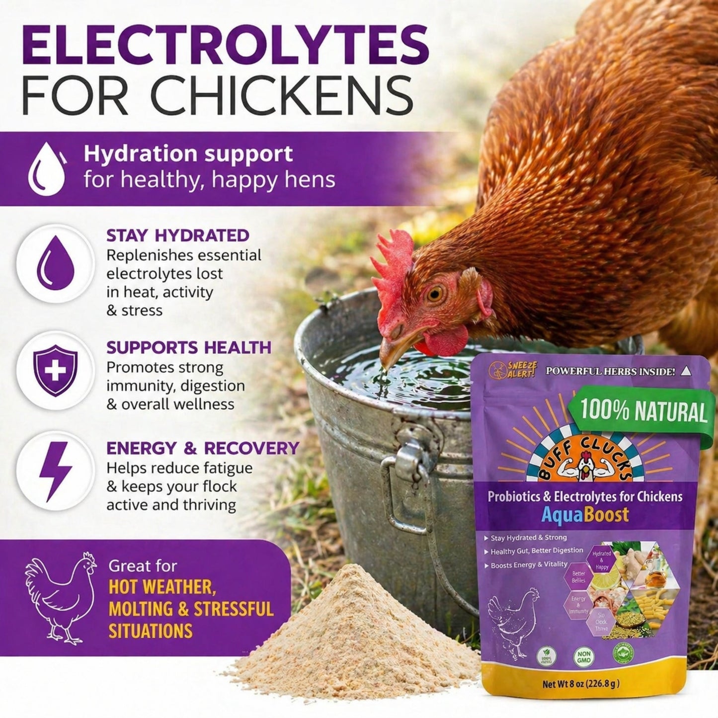 AquaBoost – Electrolytes and Probiotics for Backyard Chickens Buff Clucks