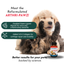 Arthri-Pawz – with Glucosamine for Cats and Dogs Joint Support Dr. Ruth Roberts