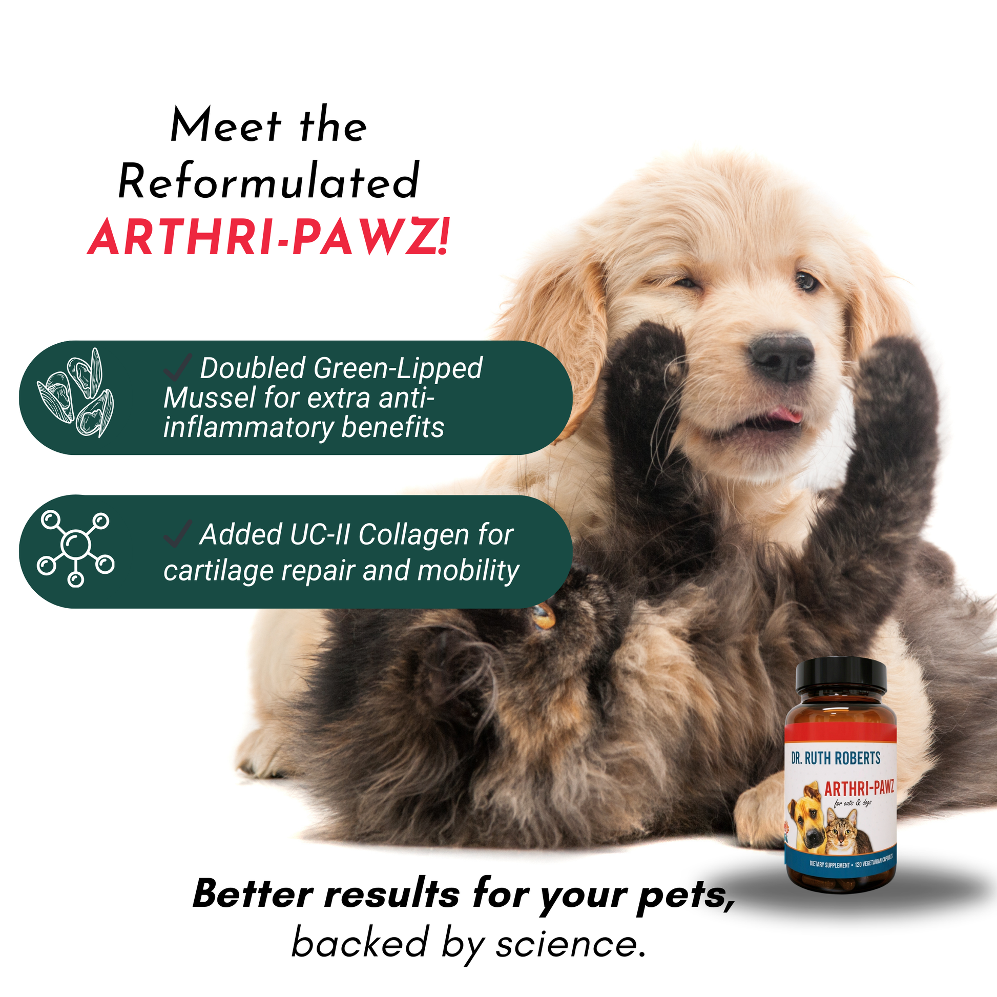 Arthri-Pawz – with Glucosamine for Cats and Dogs Joint Support Dr. Ruth Roberts
