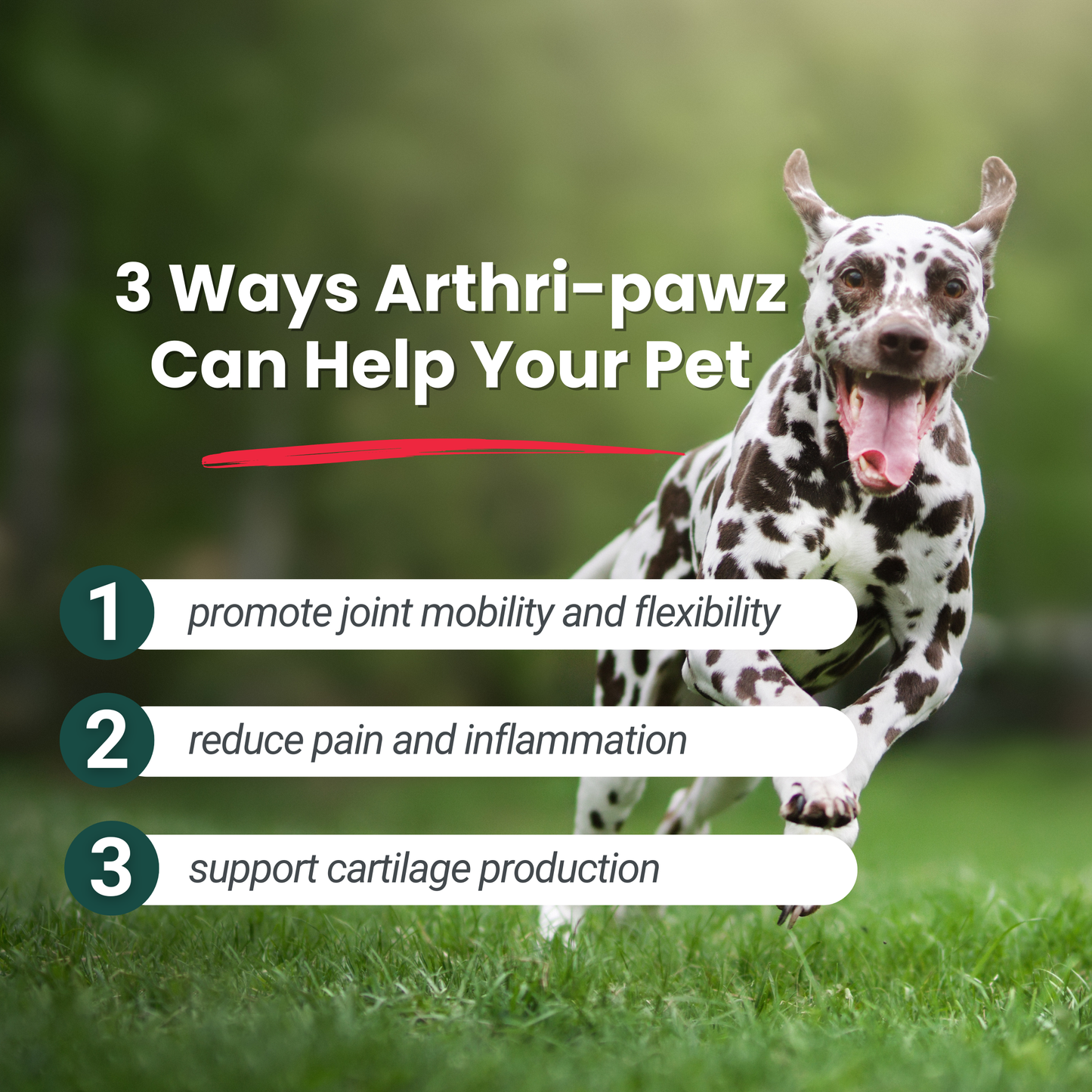 Arthri-Pawz – with Glucosamine for Cats and Dogs Joint Support Dr. Ruth Roberts