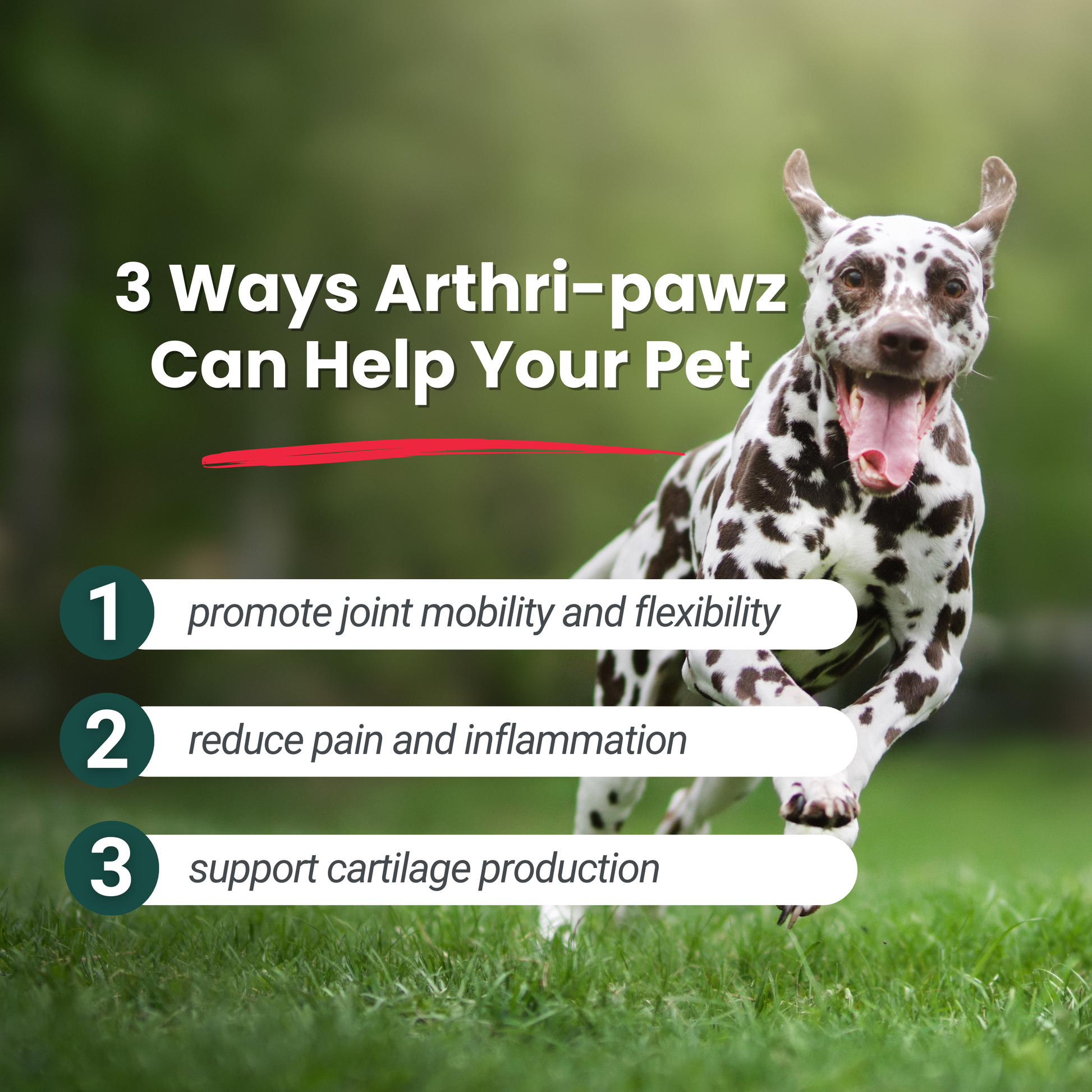 Arthri-Pawz – with Glucosamine for Cats and Dogs Joint Support Dr. Ruth Roberts