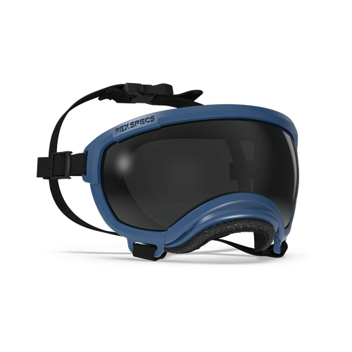 Rex Specs - Goggles for Dogs - V2 Atlas Blue Extra small Dog Eye Protection Rex Specs