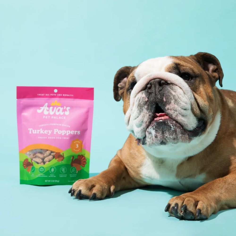 Ava's Pet Palace Freeze Dried Dog Treats - Turkey Poppers (3oz) Dog Treats American Pet Supplies