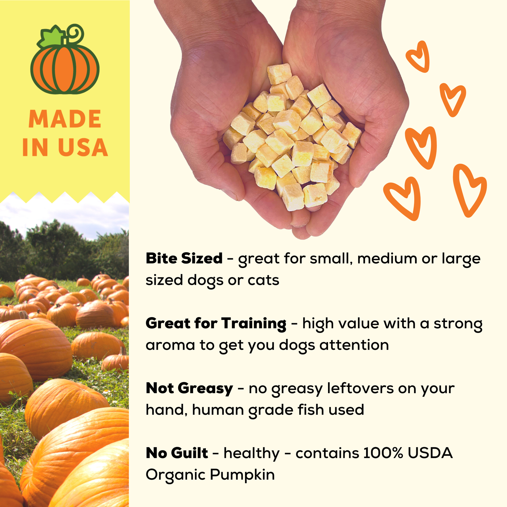 Organic Freeze Dried Pumpkin Dog and Cat Treats A Better Treat
