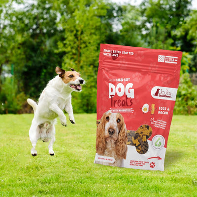 Fresh Baked Eggs and Bacon Soft Dog Chew Treats (2-Pack) Dog Treats American Pet Supplies