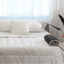 PupProtector™ Waterproof Bed Runner - White with Brown Accents Dog Blanket Paw.com