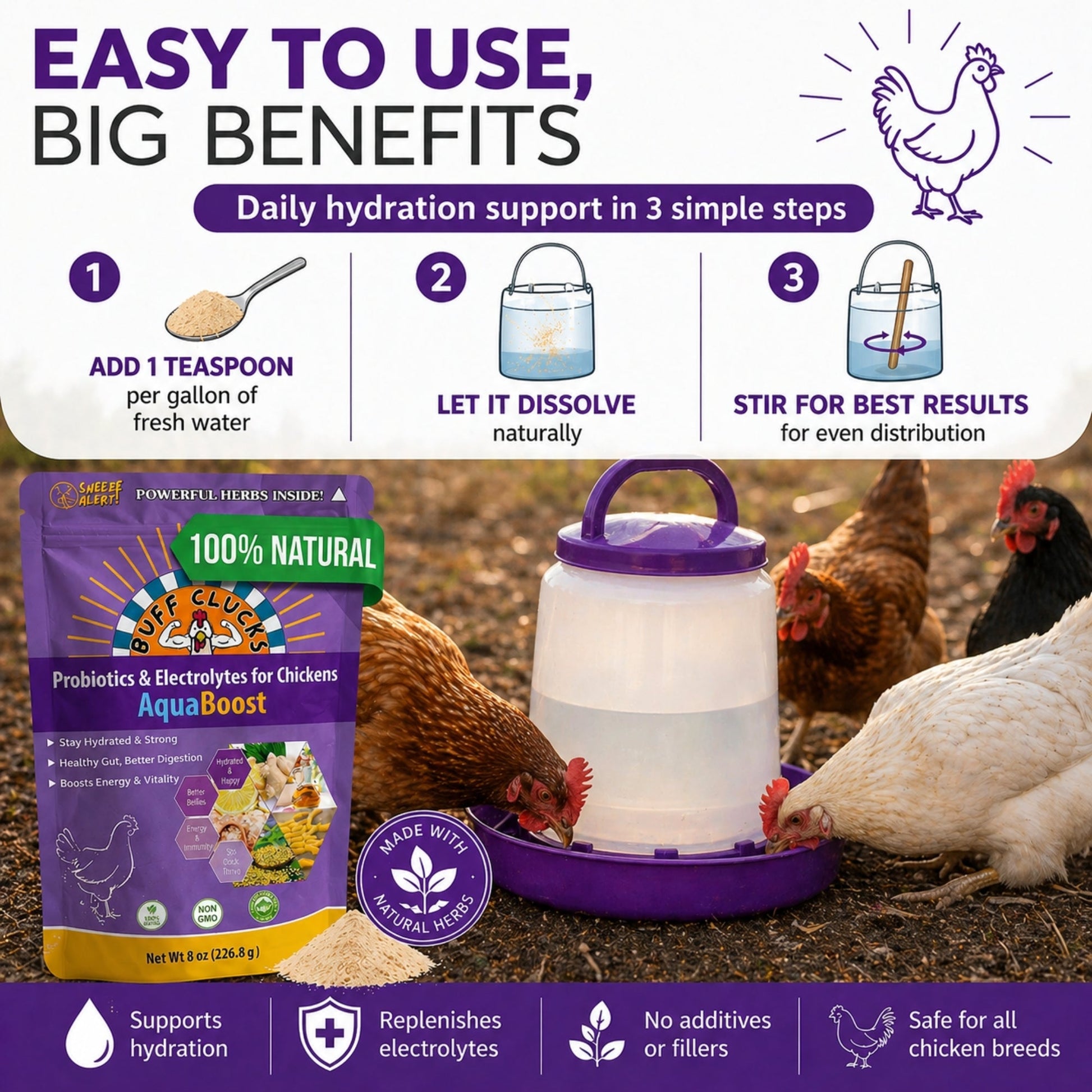AquaBoost – Electrolytes and Probiotics for Backyard Chickens Buff Clucks