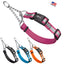 Reflective Biothane Martingale Collar with Quick Release Buckle Dog Collars Dogline